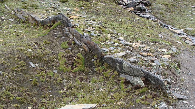 Illampu Trek Steves (23).JPG